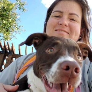 Meet your Posher, Dawn